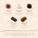 Lindt - Ballotin de Chocolats CONNAISSEURS - Assortiment de Rochers - Pour offrir ou se faire plaisir 189g - Buy Online on GoSupps.com