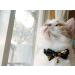 Necoichi Kimono Bow Tie Cat Collar in Black - Stylish and Adjustable - Buy Online on GoSupps.com