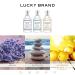 LUCKY Brand Re/Lax The New Sustainably-Inspired & Tranquil Unisex Fine Fragrance Mist For Women & Men 8.0 Fl Oz (Pack of 1) Lucky Re/Lax 8 Fl Oz (Pack of 1) - Buy Online on GoSupps.com