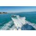 Airhead 12-Foot Self Centering Tow Harness for 1-2 Rider Tubes, Skis & Wakeboards - Buy Online on GoSupps.com
