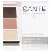Sante Eyeshadow Trio Rose Wood 03 4.72 Gram