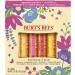 Burt's Bees Gifts, 4 Lip Balm Products, In Full Bloom Set - Original Beeswax, Dragonfruit Lemon, Tropical Pineapple & Strawberry (4 Pack) In Full Bloom Lip Balm 4pk