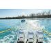 Airhead 12-Foot Self Centering Tow Harness for 1-2 Rider Tubes, Skis & Wakeboards - Buy Online on GoSupps.com