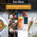 DualSpices Sea Moss Gold 16 Oz - Wildcrafted from Jamaica, Non-GMO Vegan Superfood - No Salt, Sand, Chemicals, Preservatives - 1lb Raw Fresh Harvested from Caribbean Sea - Buy Online on GoSupps.com