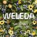 Weleda Skin Revitalizing Day Cream 1 fl oz - Hydrating Natural Moisturizer - Buy Online on GoSupps.com