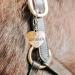 Buy Soulhorse Exclusive Lucky Charm Horse Gear - Premium Bridles Halters & Cuddly Accessories for Horses Ponies & Dogs - International Shipping Available! - Buy Online on GoSupps.com
