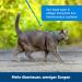 PetSafe Easy Walk Cat Harness & Elastic Bungee Leash - Size S Blue for Comfortable Cat Walking - International Shipping Available - Buy Online on GoSupps.com