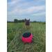 Dingo Gear Training Toys Ball 19cm - Black-Rosa with Handle | Durable Nylcott for IGP Obedience & Training Games - Buy Online on GoSupps.com