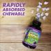 Bluebonnet Nutrition Rainforest Animalz 180 Chewables - Natural Grape Flavor Whole Food Multivitamins - Buy Online on GoSupps.com