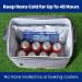 Premium Reusable Cooler Shock Ice Packs 3 Pack - Long Lasting, Cools Faster Than Ice - Buy Online on GoSupps.com