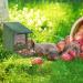 Relaxdays Squirrel Feeder House Feeding Station Box Standing Wooden HWD: 17.5 x 12 x 25 cm Dark Brown Wood and Plastic Pack of 1 10026312_746 - Buy Online on GoSupps.com