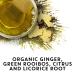 Tazo Organic Spicy Ginger Herbal Tea - Caffeine Free, 20 Tea Bags, Pack of 6 - Buy Online on GoSupps.com