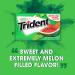 Trident Watermelon Twist Sugar-Free Gum - 12 Packs, 14 Count per Pack - Buy Online on GoSupps.com