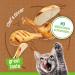Friskies Chef's Dinner Wet Cat Food Pate - 156 g Can (24 Pack) - Buy Online on GoSupps.com