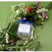ANDRE L AROM - Eau de parfum made in France original for women - 1.6fl.oz. / 50 ml - from Grasse (BAIES D' T Citrus ) - Buy Online on GoSupps.com