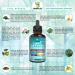 LUNG DEFENSE Herbal Extract - 8-in-1 Blend for Lung Cleanse & Immune Support - 2 Fl Oz Liquid Supplement - Buy Online on GoSupps.com