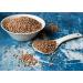 Organic Sproutable Whole Red Lentils 5lb - Non-GMO, Vegan & Kosher - High Protein & Fiber - Ideal for Soups, Stews & Curries - Buy Online on GoSupps.com