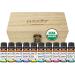 PURA D'OR Perfect10 Essential Oil Wood Box Gift Set 10mL x10 USDA Organic, 100% Pure Therapeutic (Tea Tree-Lemon-Lavender-Sweet Orange-Rosemary-Lemongrass-Frankincense-Peppermint-Eucalyptus-Cedarwood)