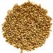 Whole Coriander Seeds Cooking Spice Premium Quality 200g 250.0 grams - Buy Online on GoSupps.com