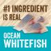 Evolve Grain-Free Ocean Whitefish and Egg Cat Food - Premium Recipe for Healthy Cats - Buy Online on GoSupps.com