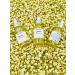 Soft Petalz Jasmine Face & Body Oil - Hydrating Natural Skincare for All Skin Types - International Shipping Available - Buy Online on GoSupps.com
