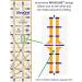 QuiltCut UltraGrid USA Made Non-Slip Quilting Ruler 7 Piece Starter Set - Buy Online on GoSupps.com