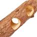 TRIXIE Natural Living Tube Tunnel for Small Animals - 100% Natural Bark Wood 7 30 cm Eco-Friendly Pet Enrichment - Buy Online - Buy Online on GoSupps.com