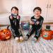 Buy Zbar Halloween Minis - Spooky Choco-Chip Organic Snack Bars (20 Mini Bars) | International Shipping Available - Buy Online on GoSupps.com