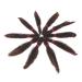 SEGO 3 Packs Afro Crochet Braids - Kinky Curly Hair Bulk Extensions in Natural Black & Red-Brown - Buy Online on GoSupps.com
