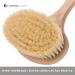 Hydra London Professional Dry Skin Detox Body Brush - Long Cactus Bristles - Buy Online on GoSupps.com