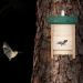 Relaxdays Bat Box Nesting Habitat - Untreated Solid Wood Shelter 25.5x18x6 cm - Natural/Green - Buy Online on GoSupps.com