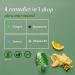 StomachBloom Tummy Tame Drops - Nausea Relief & Upset Stomach Support with Ginger Lemon & Spearmint | 28 Ct | International Shipping - Buy Online on GoSupps.com