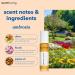 Perfume Oil for Women Puresense Ambrosia - (10ml) Aromatic Roll On Perfumes for Women Therapeutic Grade Oil Blend Organic Body Oil Fragrances Travel Size Women Perfume Made in USA - Buy Online on GoSupps.com