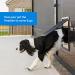 PetSafe Small Pet Screen Door - Dog and Cat Door for Screen Door, Window, and Porch - Buy Online on GoSupps.com