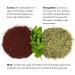 Joon Sumac Scalp Scrub Exfoliating Shampoo - 5.7 fl oz | Best Exfoliating Shampoo for Healthy Scalp | International Shipping Available - Buy Online on GoSupps.com