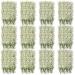 Dried Babys Breath Flowers Bouquet Ivory White Babys Breath Real Flowers Natural Gypsophila Branches Dry Pressed Gypsophila for Wedding Resin Art Craft DIY Card Making Home Party Decor (50 Pcs)
