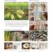Shop Reed Diffuser with 18 Mixed Sola Wood Flowers - Premium Room Fragrance by Plawanature - International Shipping Available - Buy Online on GoSupps.com