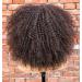 CURLCRAZY 16 Curly Wig with Bangs for Black Women - Kinky Afro Short Wig (Brown) - Buy Online on GoSupps.com