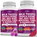 NEW AGE Milk Thistle NAC Chanca Piedra Beet Root Artichoke Dandelion Root Astragalus - Plus TUDCA & Ginger - 120 Count 120 Capsules (Pack of 2)