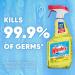 Windex Multi-Surface Cleaner & Disinfectant Spray Citrus Fresh 23 fl oz - Pack of 1 - Buy Online on GoSupps.com