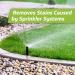 Velocity Exterior Rust Stain Remover - Effective Rust Removal for Concrete Vinyl Siding & Decks - 1 Gallon - Buy Online on GoSupps.com