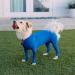 Shed Defender Dog Body Suit - Original Anti-Shedding Shirt for Giant Dogs (59+ KG) | Calming Onesie Car Seat Cover & E-Collar Solution - Royal Blue - Buy Online on GoSupps.com