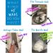 Wad-Free Bed Sheet Detangler Reduces Laundry Tangles - As Seen on Shark Tank Made in USA 2 - Buy Online on GoSupps.com