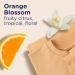 Downy Light Laundry Scent Booster Beads - Orange Blossom 24 oz | No Heavy Perfumes | International Shipping - Buy Online on GoSupps.com