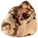 Chewies Chewing Root for Dogs - 100% Natural Durable Dog Toy | Size L for 20kg+ | International Shipping Available - Buy Online on GoSupps.com
