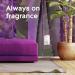 Glade PlugIns Air Freshener Kit Scented and Essential Oils for Bathroom and Home Fragrance Tranquil Lavender and Aloe 2 Warmers and 6 Fragrance Oil Refills Lavender & Aloe 118.89 ml (Pack of 1) - Buy Online on GoSupps.com