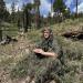 AUSCAMOTEK Ghillie Suit Poncho - Camouflage Cloak for Hunting and Bird Watching - Buy Online on GoSupps.com