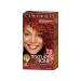 Clairol Professional Texture and Tones Permanent Hair Color  Fade Resistant Hair Dye & Color  1 oz 4c Cognac