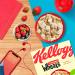  Kellogg's Kellogg's Frosted Breakfast Cereal Box 500g - Buy Online on GoSupps.com