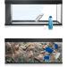 Juwel Aquarium Uk Limited Double-Sided Tank Background Poster 2 Blue Ocean 60X30Cm - Buy Online on GoSupps.com